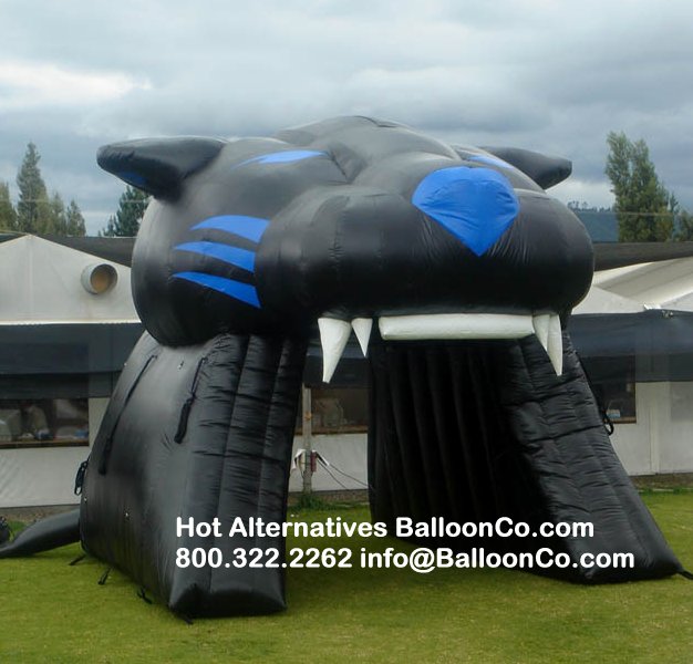 Lincoln County High School Hamlin WV Carolina Style Panthers Mascot Football Tunnel